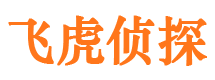 雁塔侦探公司